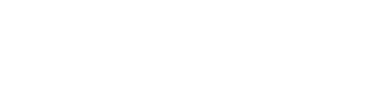 ZOOK Logo White